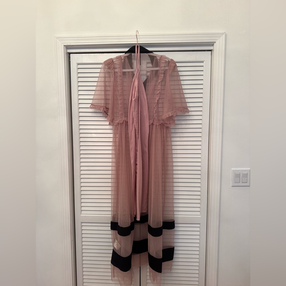 By Anthropologie Sheer Maxi Dress  Color: Pink Size: M - Picture 4 of 6
